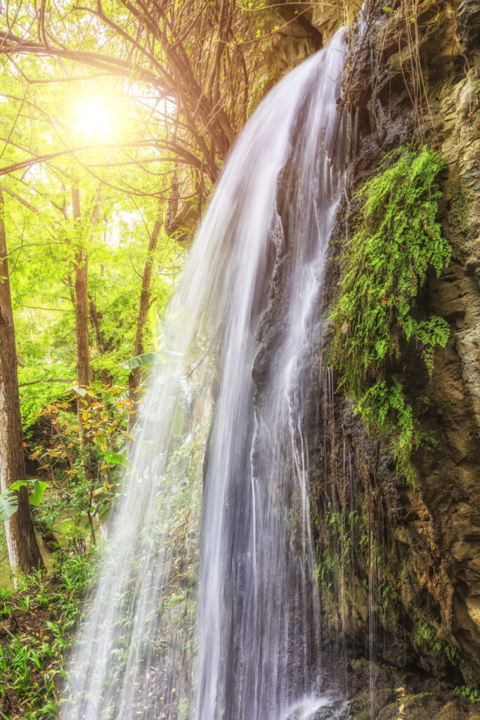 Stimmungsbild: wasserfall im Wald.