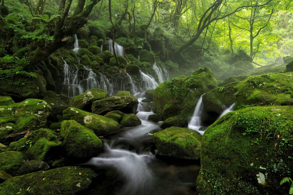 Stimmungsbild: Mehrere Wasserfälle münden in See umgeben von Wald.